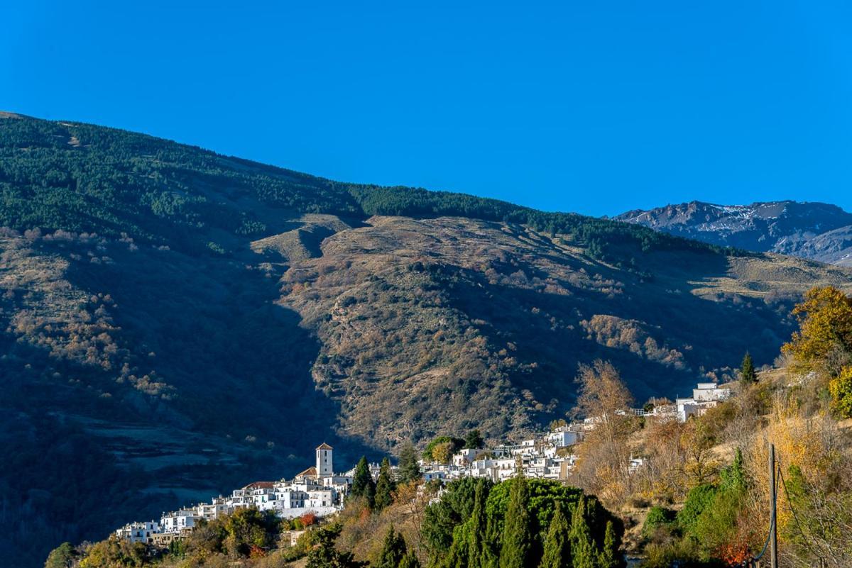 Apartamento Casa Manuela En Capileira - Alpujarra Buitenkant foto